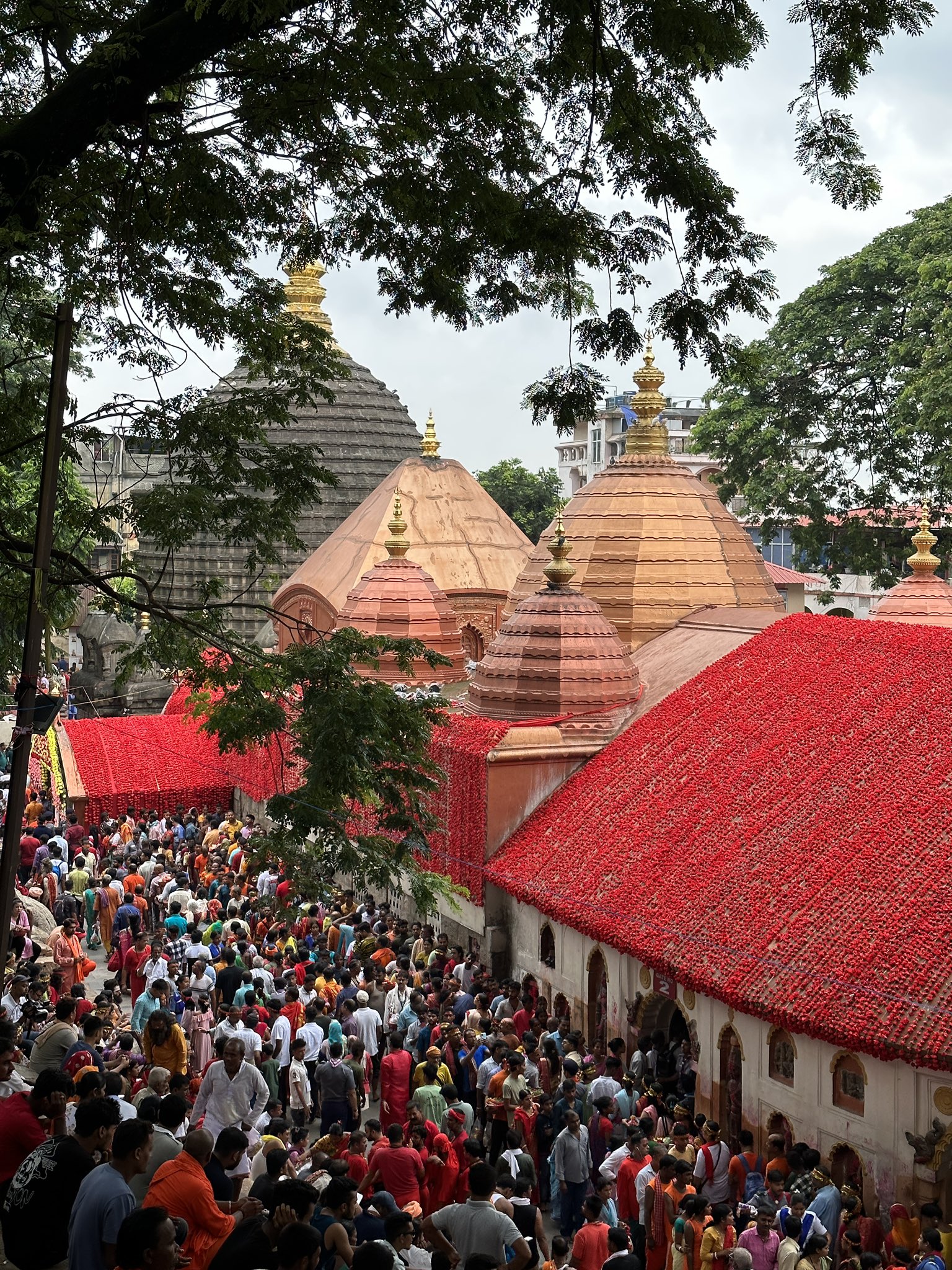 Maa Kamakhya Mandir top